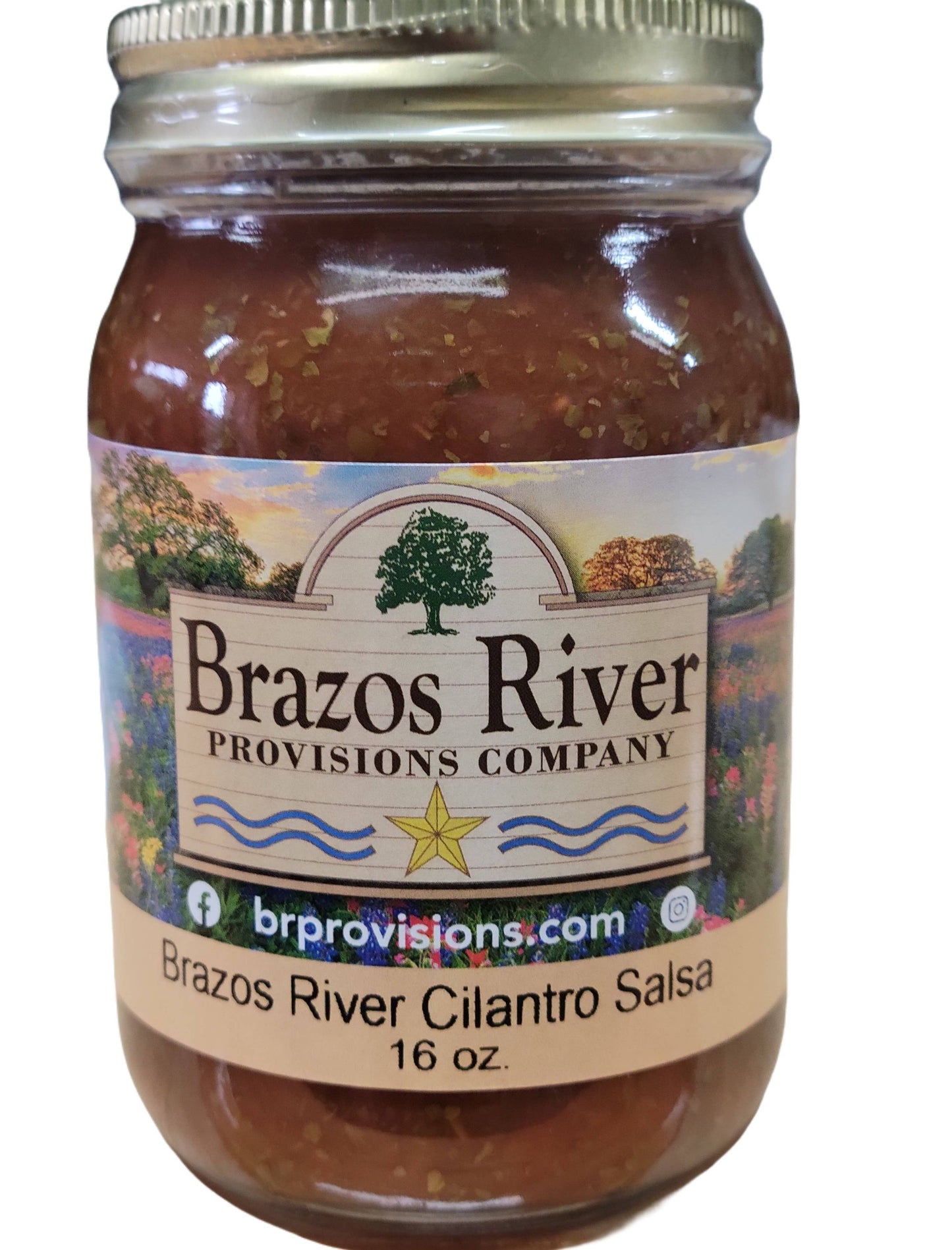 Brazos River Provisions - Cilantro Salsa