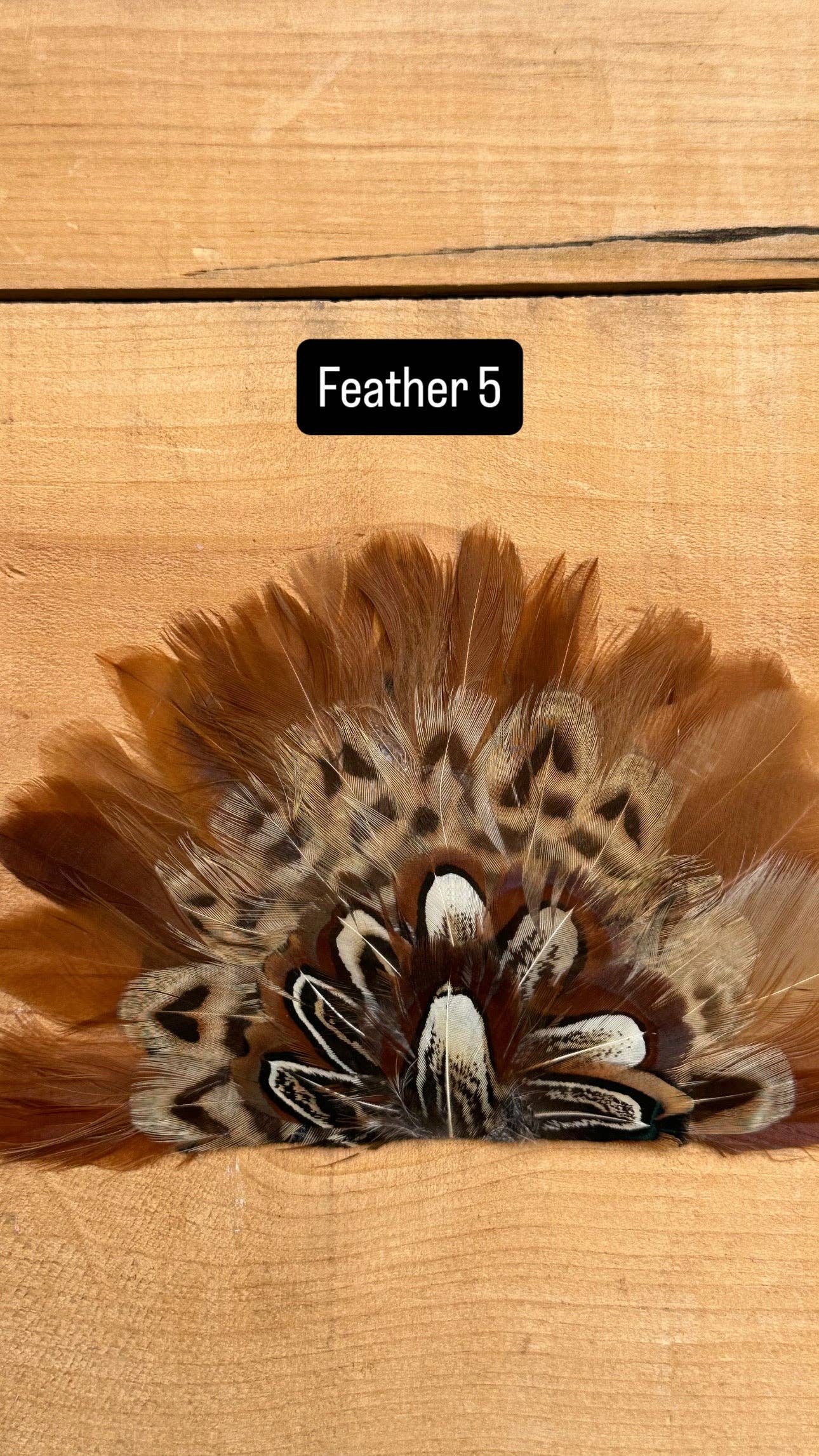 High Ho Silversmithing - IRON ON FEATHER FANS FOR TRUCKER HATS AND COWBOY HATS