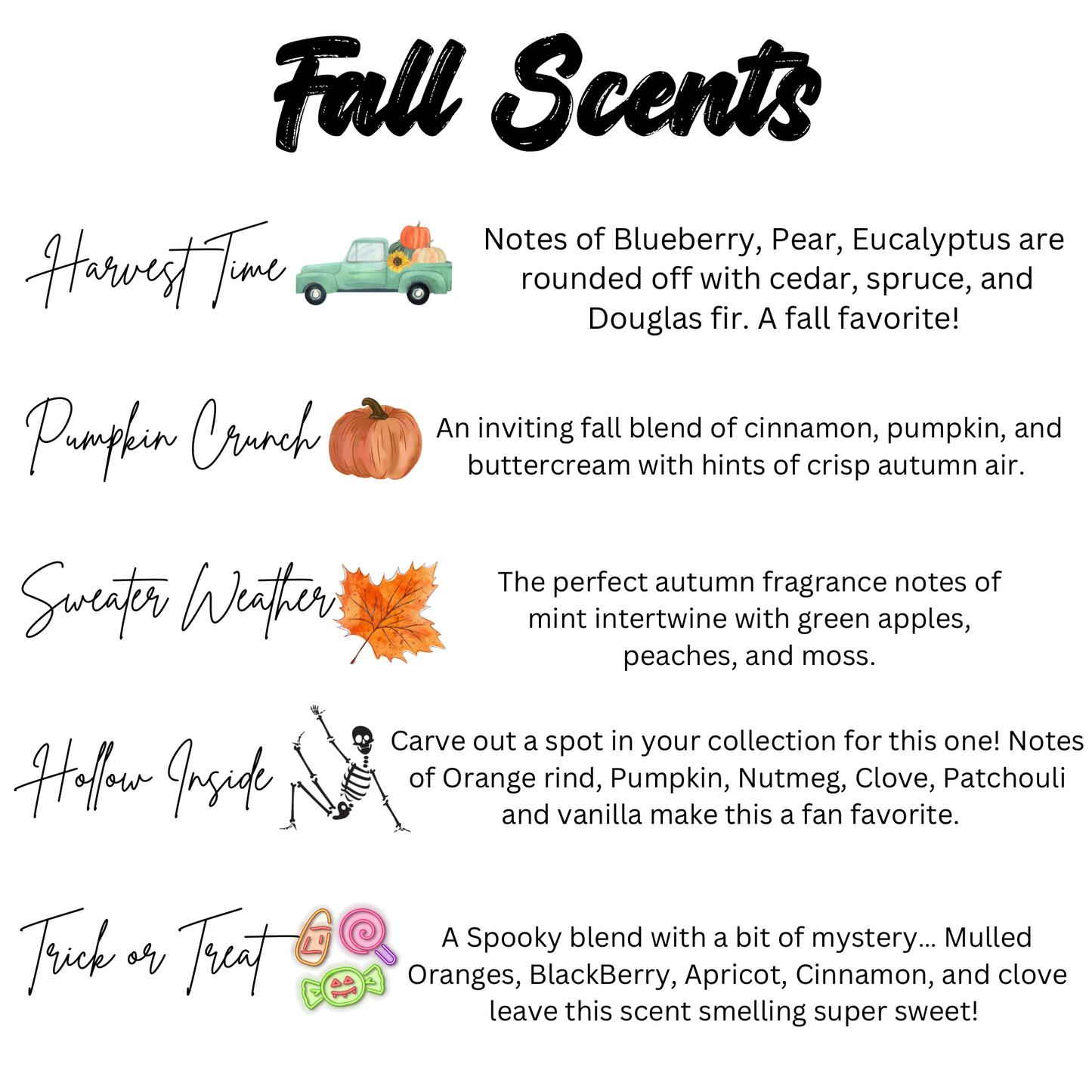 FALL Scent Car Diffusers: Pumpkin Crunch