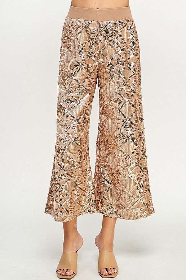 See and Be Seen Sequins Velvet Wide Cropped Pants