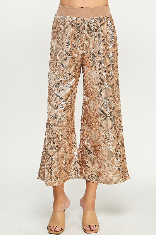 See and Be Seen Sequins Velvet Wide Cropped Pants