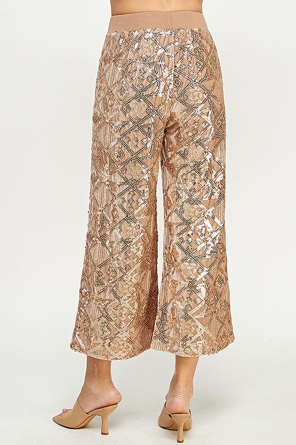 See and Be Seen Sequins Velvet Wide Cropped Pants