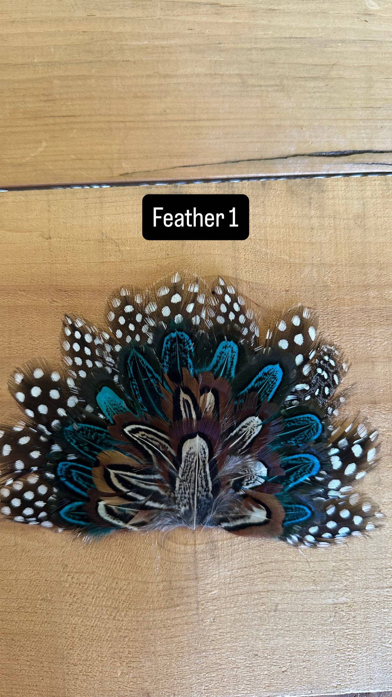 High Ho Silversmithing - IRON ON FEATHER FANS FOR TRUCKER HATS AND COWBOY HATS