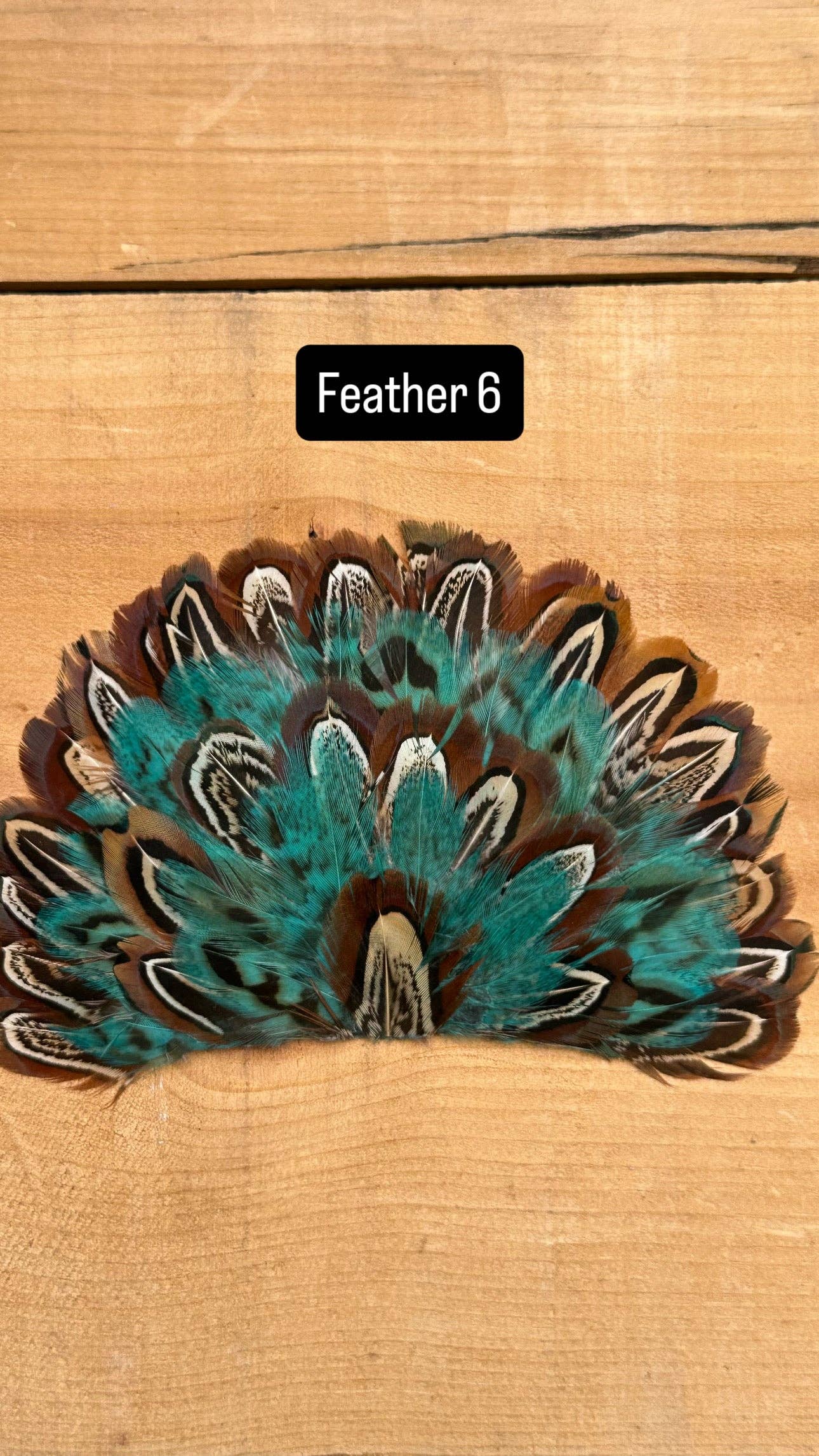 High Ho Silversmithing - IRON ON FEATHER FANS FOR TRUCKER HATS AND COWBOY HATS