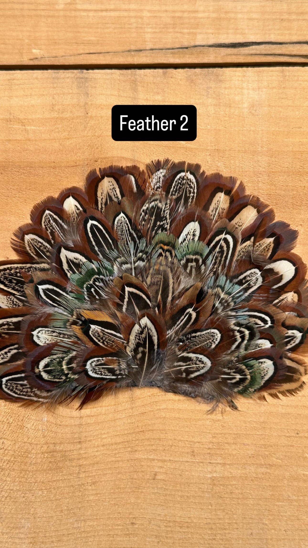 High Ho Silversmithing - IRON ON FEATHER FANS FOR TRUCKER HATS AND COWBOY HATS