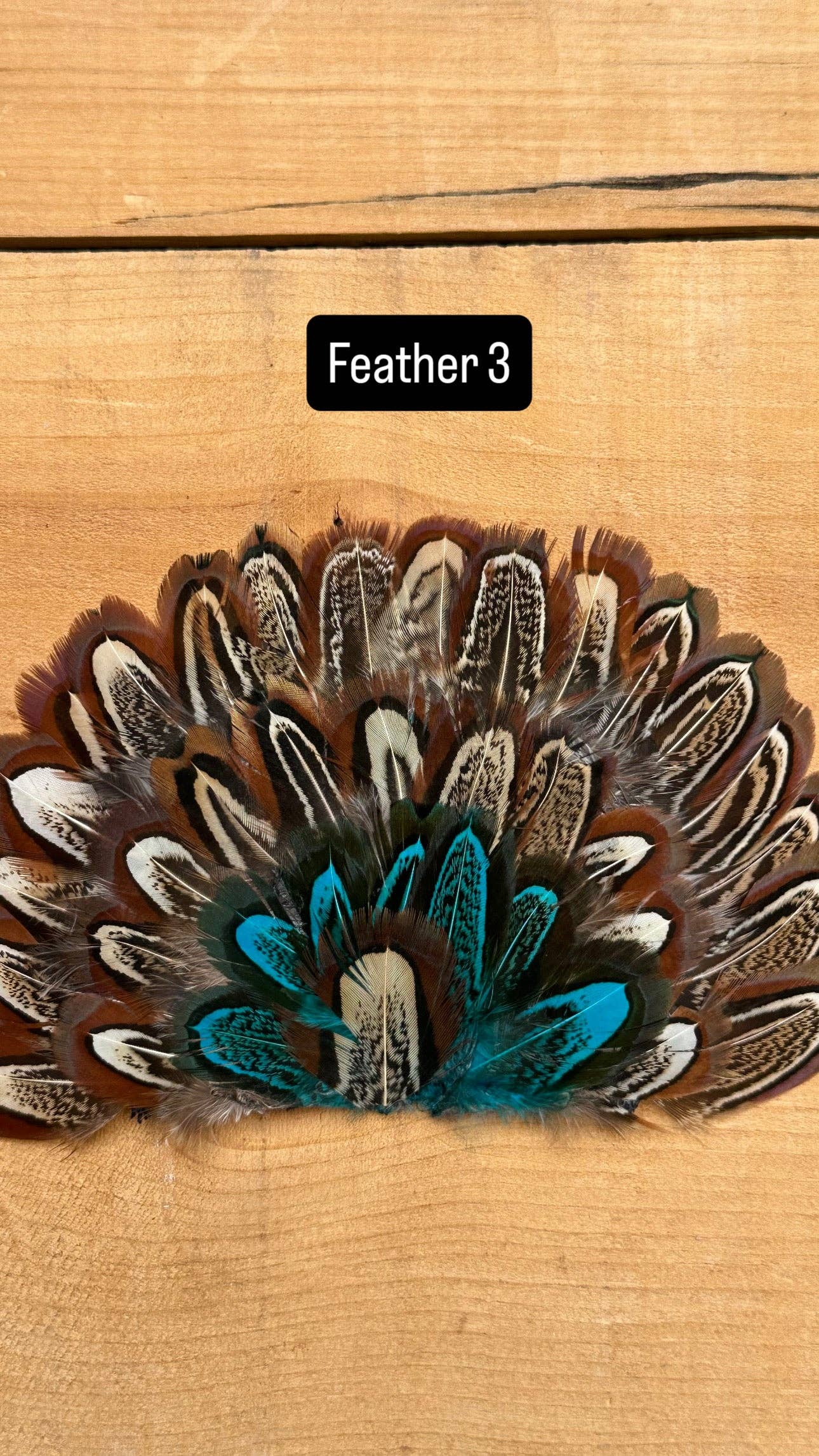 High Ho Silversmithing - IRON ON FEATHER FANS FOR TRUCKER HATS AND COWBOY HATS