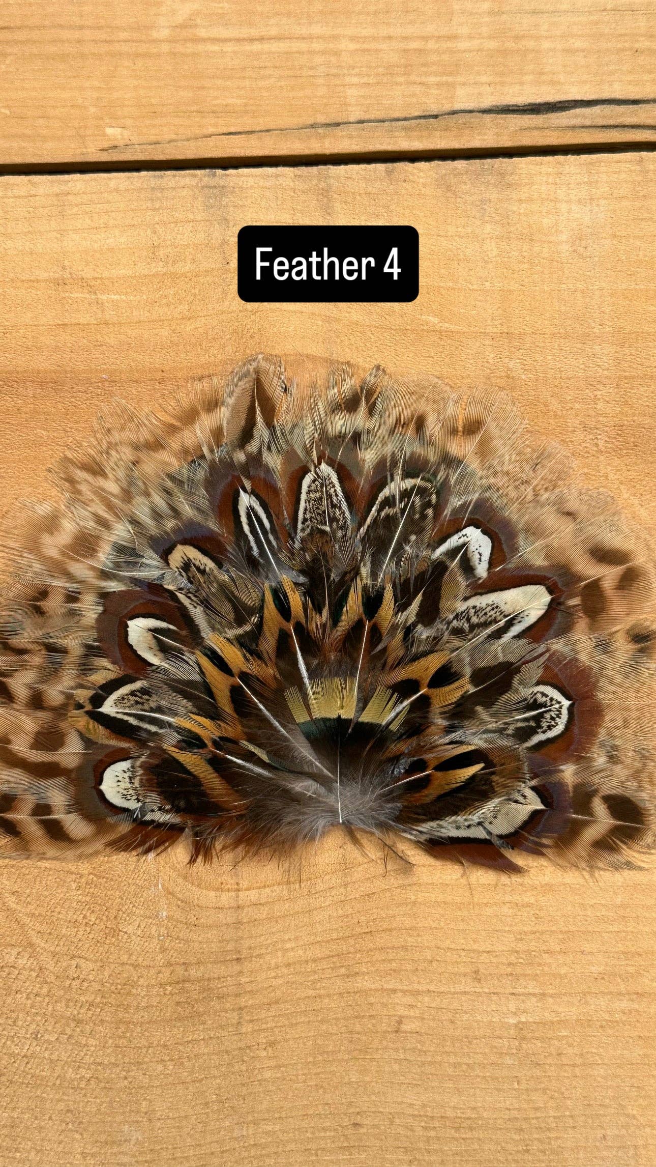 High Ho Silversmithing - IRON ON FEATHER FANS FOR TRUCKER HATS AND COWBOY HATS